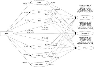 Linking alcohol-involved sexual assault to negative emotional outcomes: the relative mediating roles of shame, self-compassion, fear of self-compassion, and self-blame